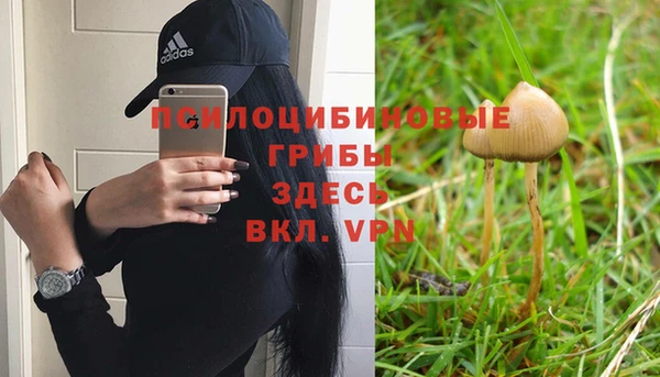 бошки Зеленодольск