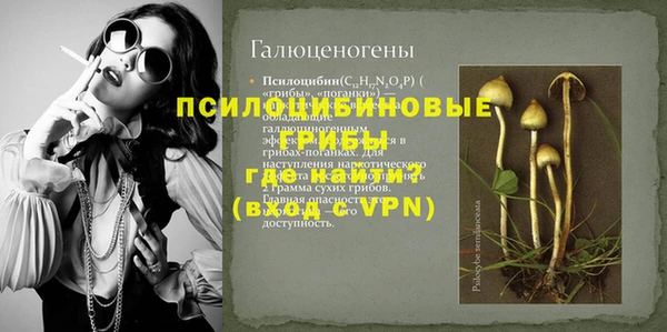 бошки Зеленодольск