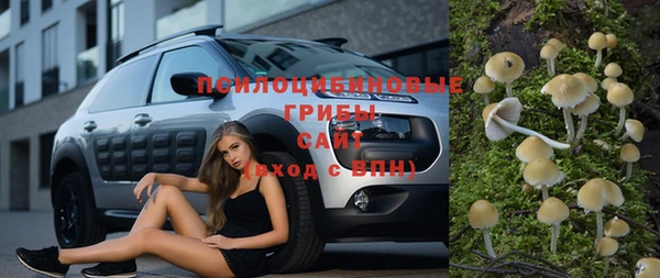 бошки Зеленодольск