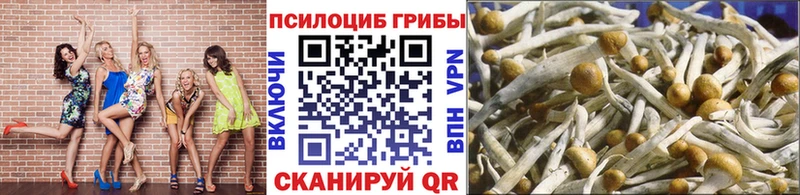 Псилоцибиновые грибы мухоморы  Купить закладки  Долинск 